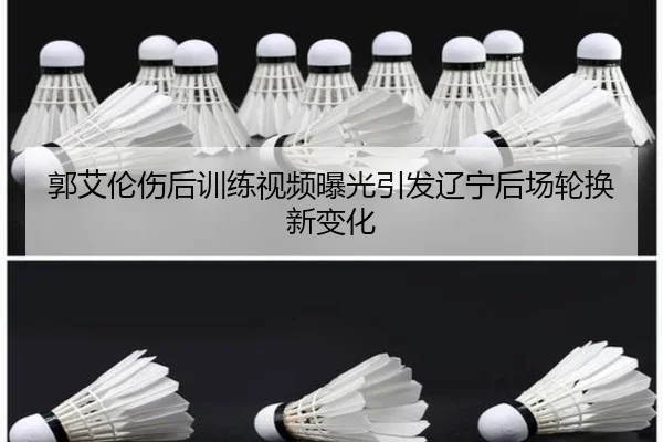 img_1788774161592_1054_0_621.jpg(XINGCAISPORTS)